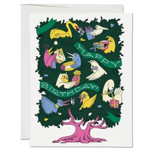 Birthday Birds Greetings Card by Red Cap Cards