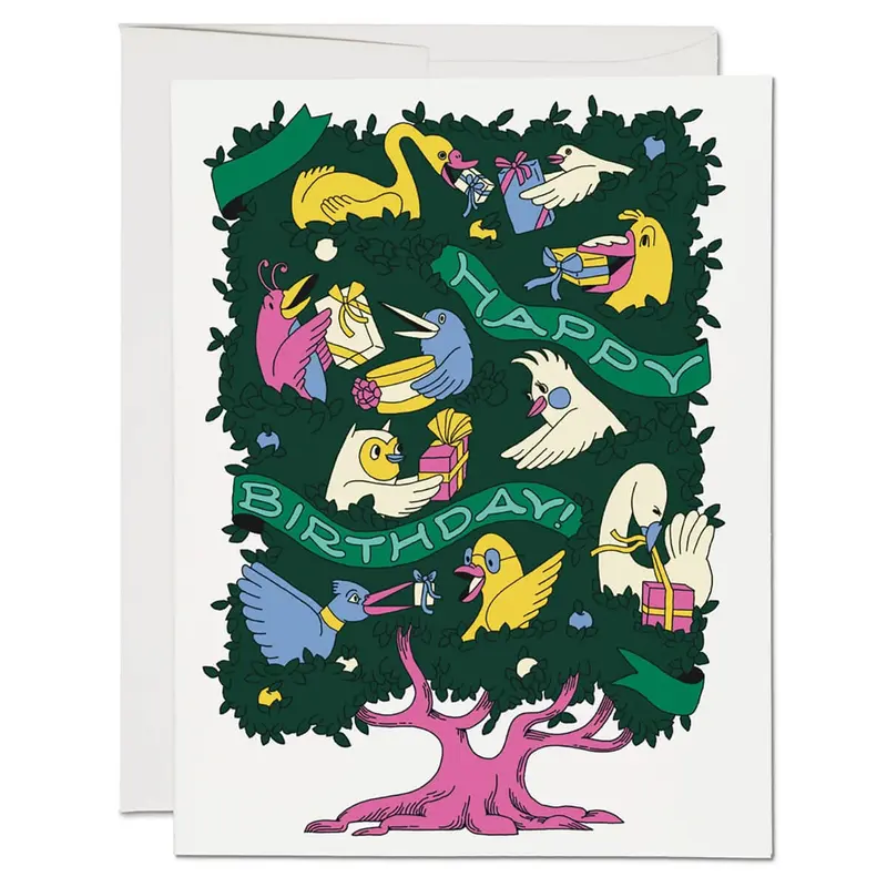 Birthday Birds Greetings Card by Red Cap Cards