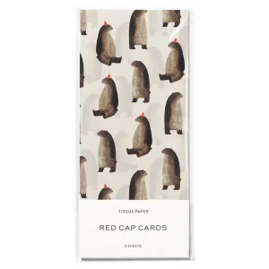 Party Bear Tissue Paper By Red Cap Cards