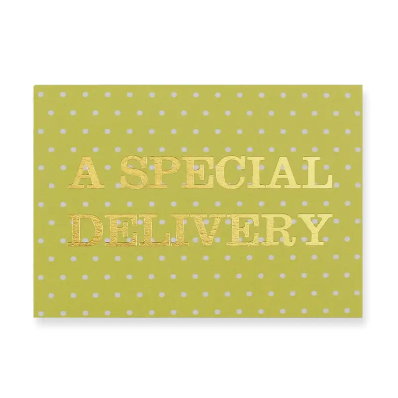 A Special Delivery Greetings Card by Nancy & Betty Studio