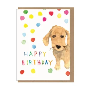 Happy Birthday Doggy Mini Greetings Card by Dominic Early for Earlybird Designs