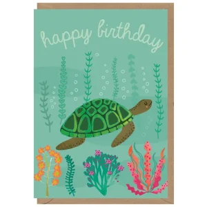 Happy Birthday Turtle Greetings Card by Elena Essex for Earlybird Designs