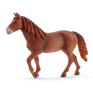 Morgan Horse Mare by Schleich