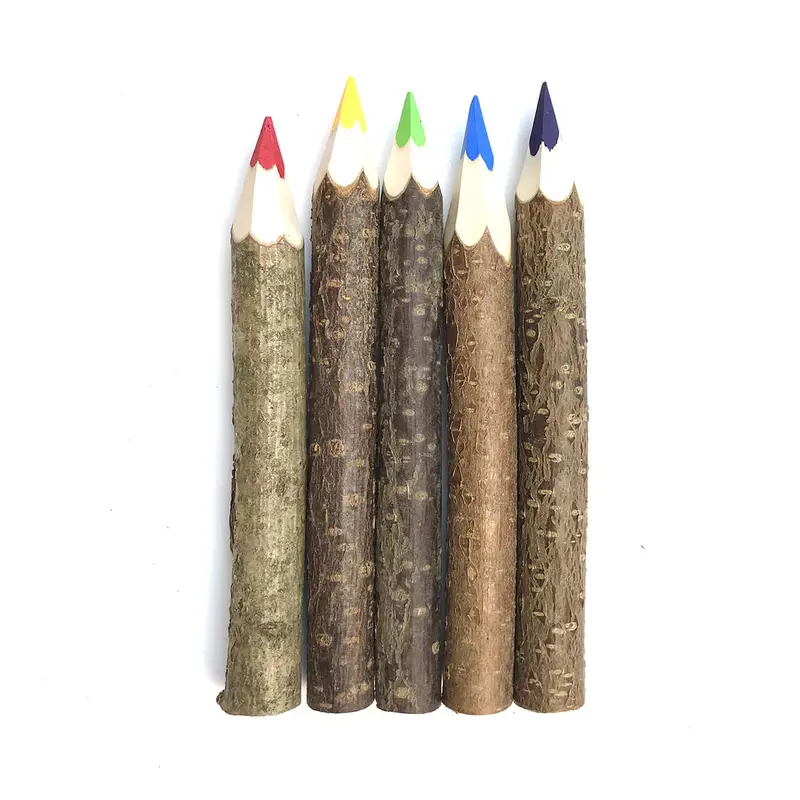 Giant Coloured Twig Pencil by Grnspecht