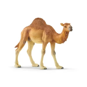 Dromedary by Schleich