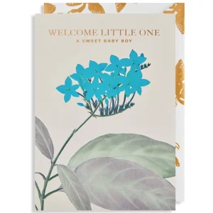 Sweet Baby Boy Greetings Card by Kew Gardens for Lagom Design