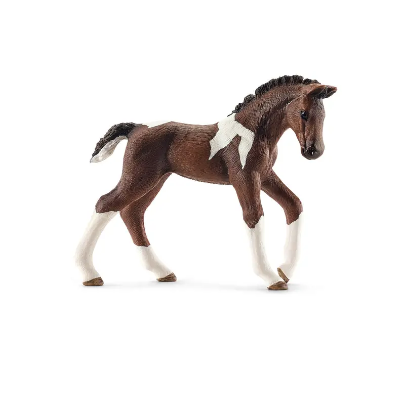 Trakehner Foal by Schleich