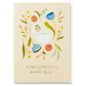 Bundle Of Joy Greetings Card by Clare Owen for Stormy Knight