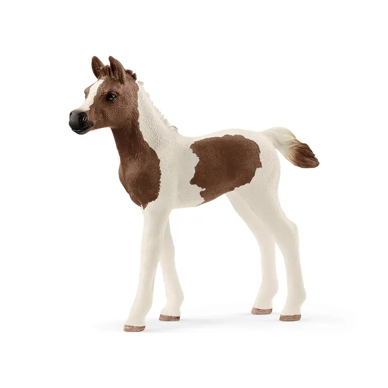 Pintabian Foal by Schleich