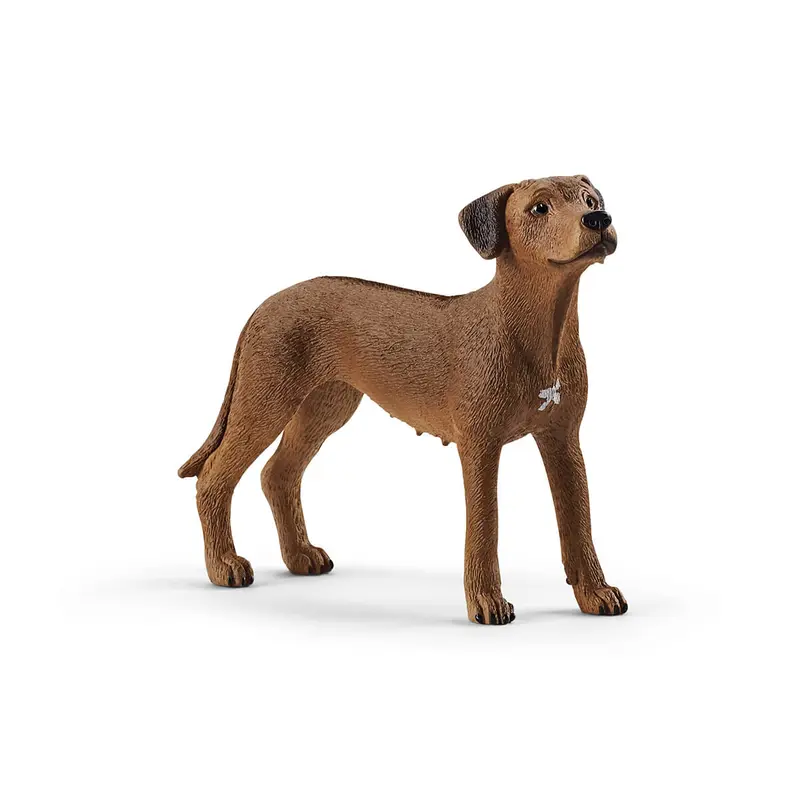 Rhodesian Ridgeback by Schleich