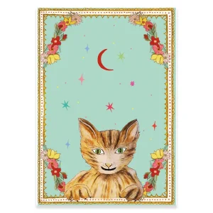 What's Up Pussy Cat Greetings Card by Wildflower Cards