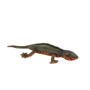 Japanese Newt (23cm) by Hansa