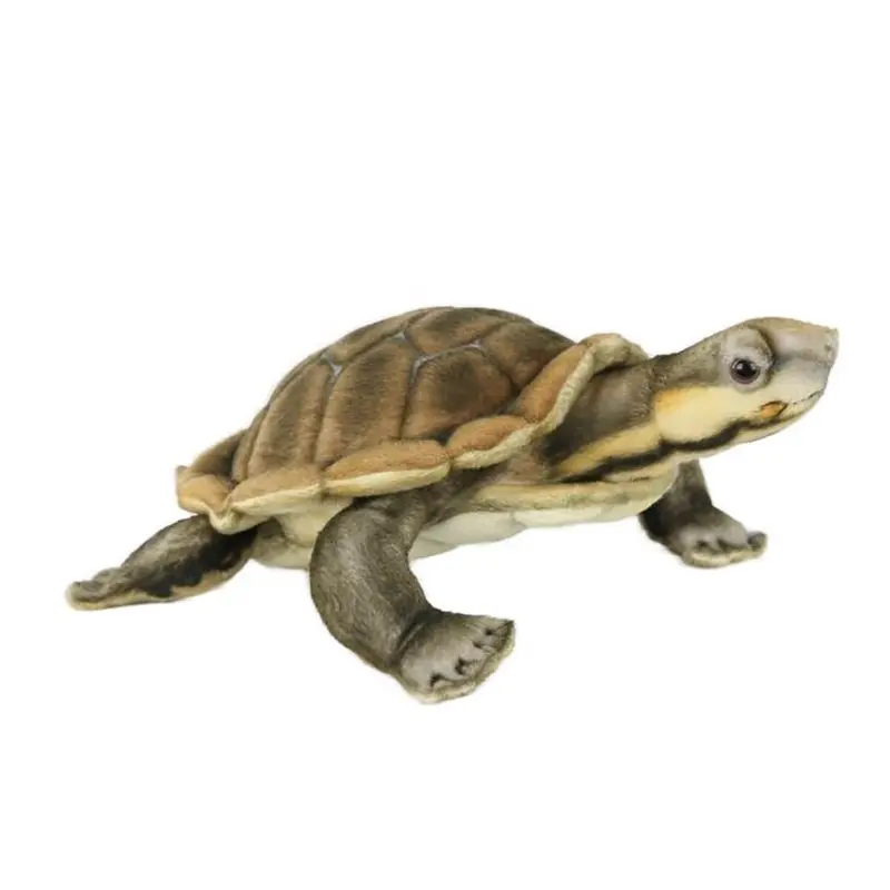 Manning River Turtle (28cm) by Hansa