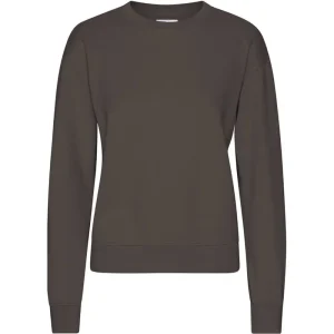 Classic Crew in Coffee Brown by Colorful Standard