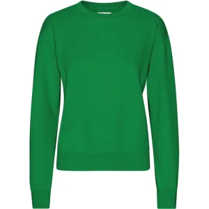Classic Crew in Kelly Green by Colorful Standard