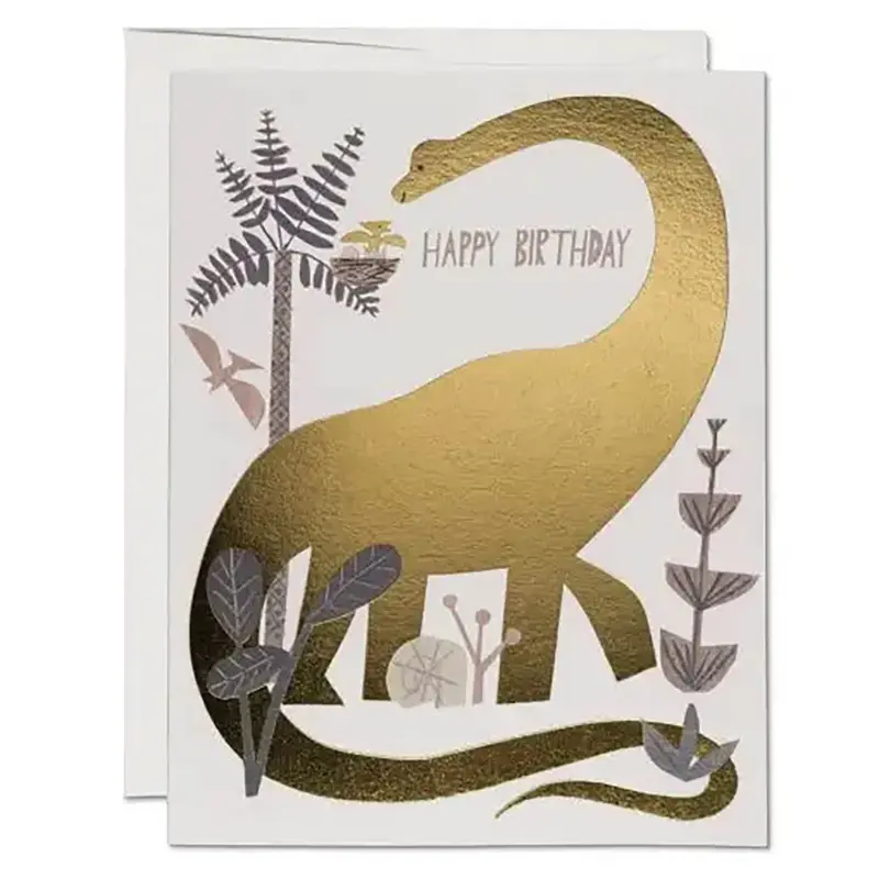 Dinosaur Birthday Greetings Card by Red Cap Cards