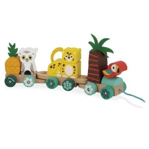 Pull Along Tropical Train by Janod