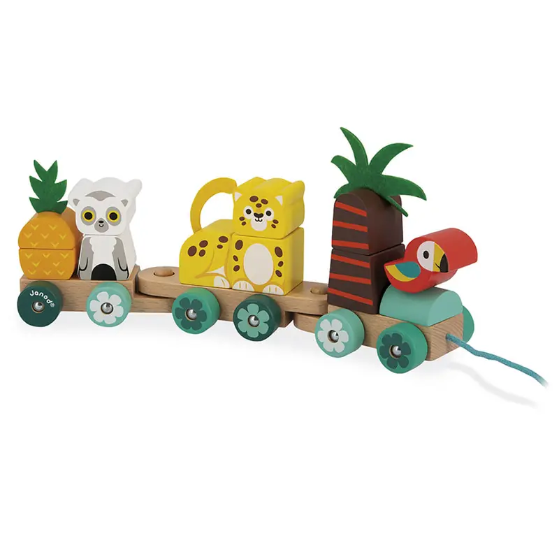 Pull Along Tropical Train by Janod