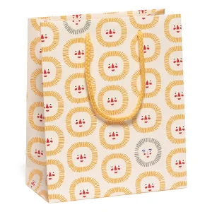 Sunshine Smiles Small Gift Bag By Red Cap Cards