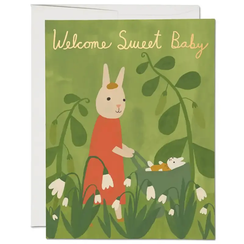 Sweet Bunny Baby Greetings Card by Red Cap Cards