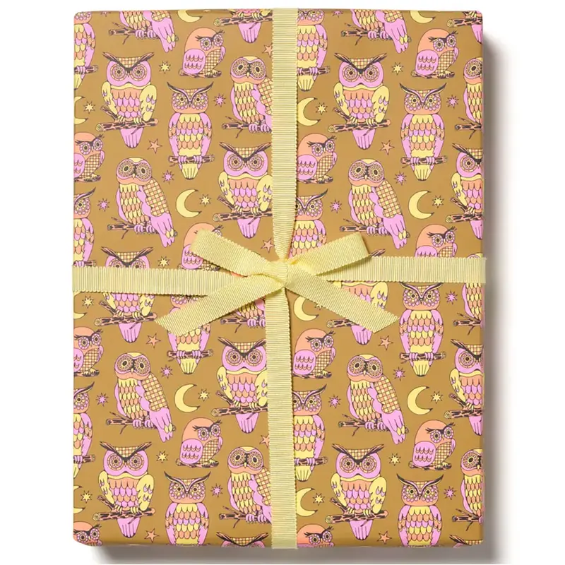 Wise and Wonderful Gift Wrap by Red Cap Cards