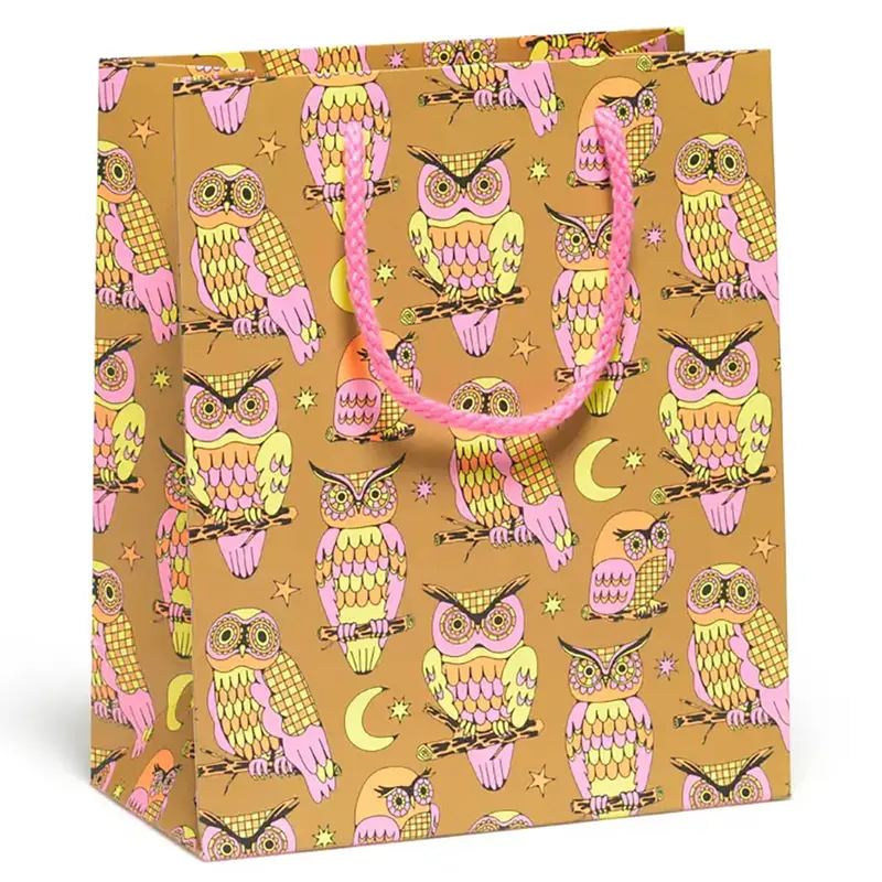 Wise And Wonderful Medium Gift Bag By Red Cap Cards