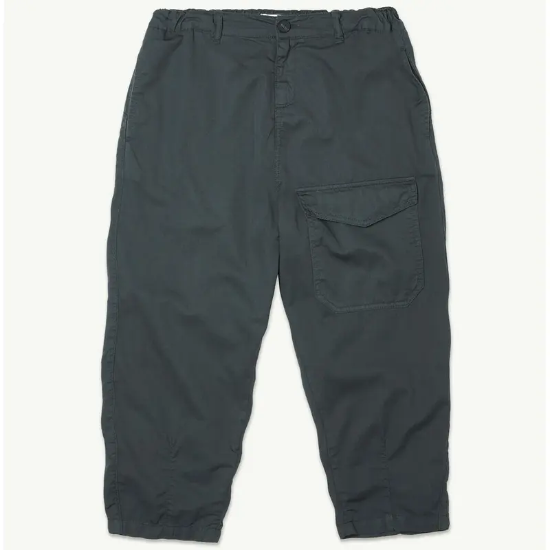 Cargo Pants in Dark Shadow by Main Story - Last One In Stock - 6 Years