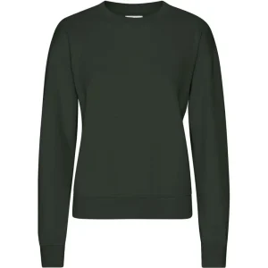 Classic Crew in Hunter Green by Colorful Standard
