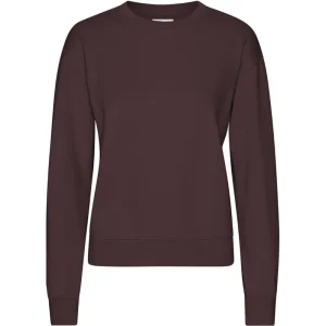 Classic Crew in Oxblood Red by Colorful Standard
