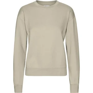 Classic Crew in Oyster Grey by Colorful Standard