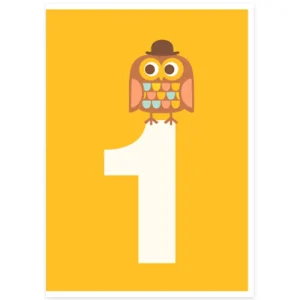 Age 1 Owl Greetings Card by Dicky Bird