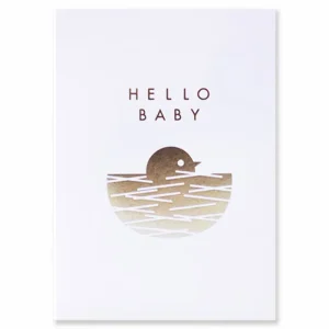 Hello Baby Bird Nest Card by Dicky Bird