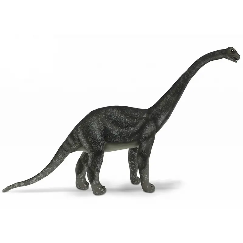 Diamantinasaurus Matildae (70cm) by Hansa