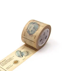 Encyclopedia Jellyfish 30mm Ex Collection Washi Tape by MT Japan