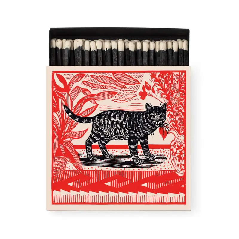 Sasha The Cat Boxed Matches by Archivist Gallery