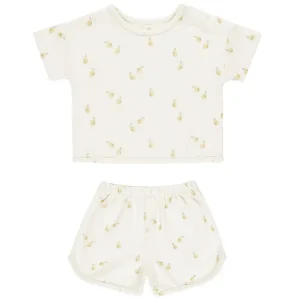 Spongy Playset in Lemons by Quincy Mae