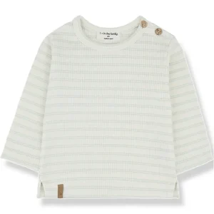 Gerard Top in Subtle Green by 1+ in the Family