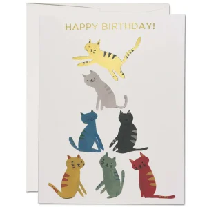 Gold Kitty Birthday Greetings Card by Red Cap Cards
