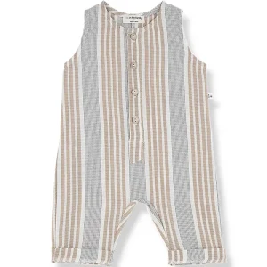 Pius Overall in Petroleum by 1+ in the Family