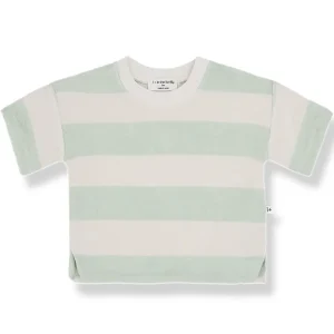 Ricardo Top in Subtle Green by 1+ in the Family