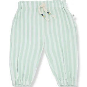 Zoe Pants in Subtle Green by 1+ in the Family