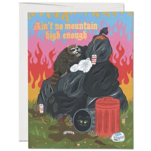 Raccoon Fun Congratulations Greetings Card by Red Cap Cards