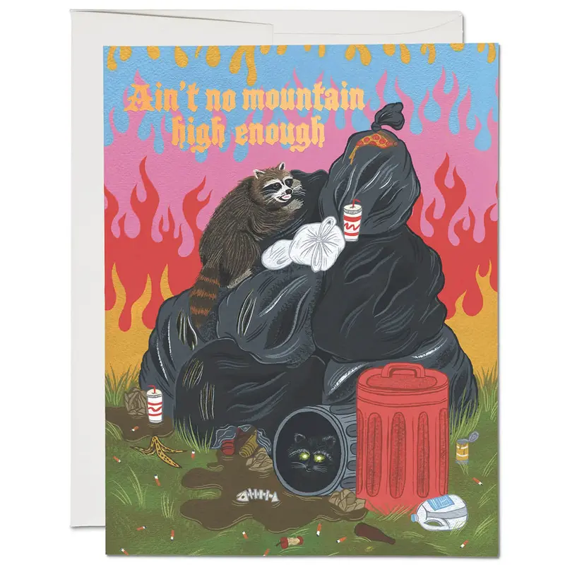 Raccoon Fun Congratulations Greetings Card by Red Cap Cards