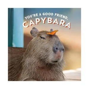 You're A Good Friend, Capybara by Chronicle Books