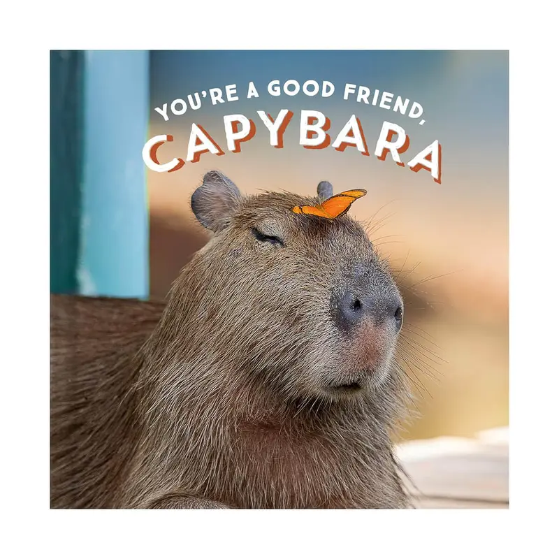 You're A Good Friend, Capybara by Chronicle Books