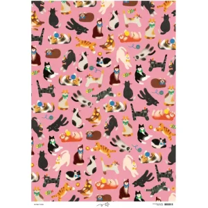 Cats Birthday Gift Wrap by Zoey Kim for Wrap
