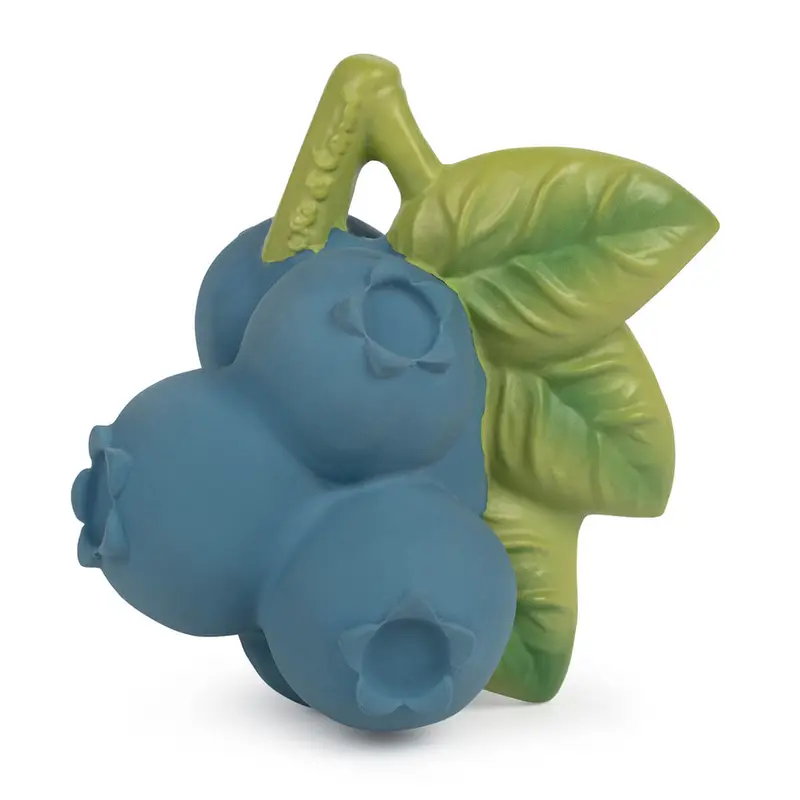 Jerry the Blueberry by Oli & Carol