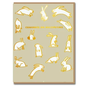 Baby Rabbits Multiplying Greetings Card by Egg Press for 1973