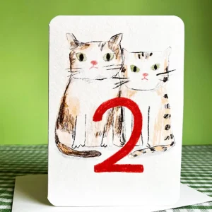 2 Today Cats Birthday Greetings Card by Laura Skilbeck Cards