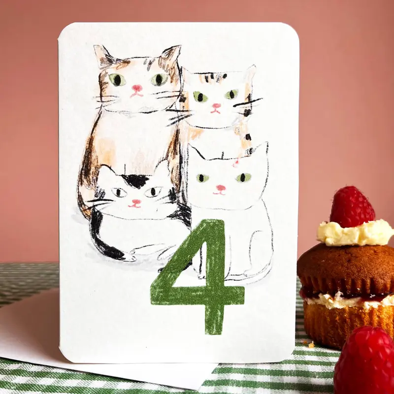 4 Today Cats Birthday Greetings Card by Laura Skilbeck Cards